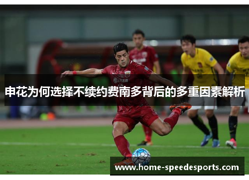 申花为何选择不续约费南多背后的多重因素解析