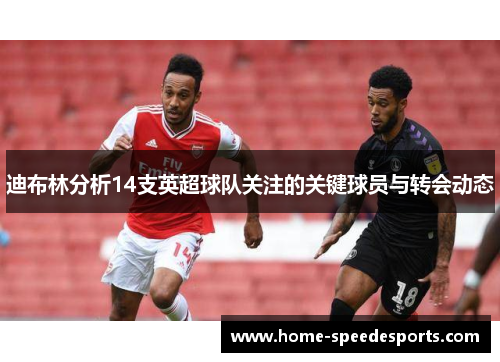 迪布林分析14支英超球队关注的关键球员与转会动态