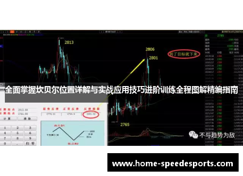 全面掌握坎贝尔位置详解与实战应用技巧进阶训练全程图解精编指南 全面掌握坎贝尔位置详解与实战应用技巧进阶训练全程图解精编指南