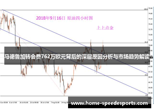 马德鲁加转会费762万欧元背后的深层原因分析与市场趋势解读